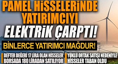 Pamel hisselerinde yatırımcıyı elektrik çarptı!